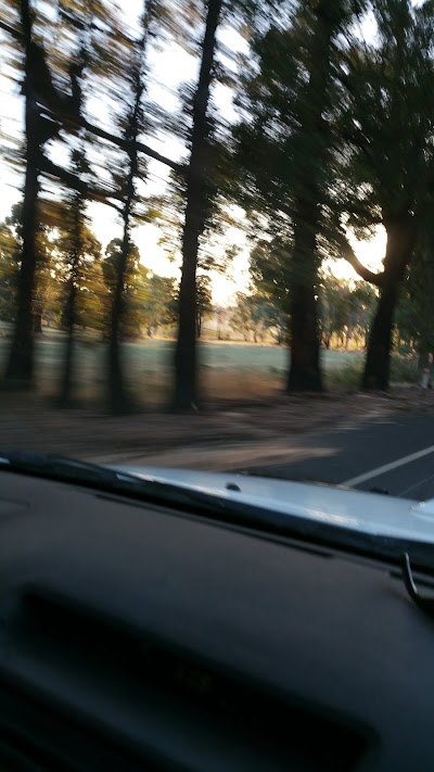 Place Photo