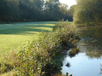 Place Photo