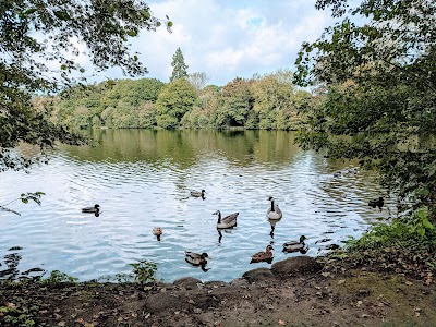 Place Photo