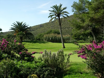 Place Photo