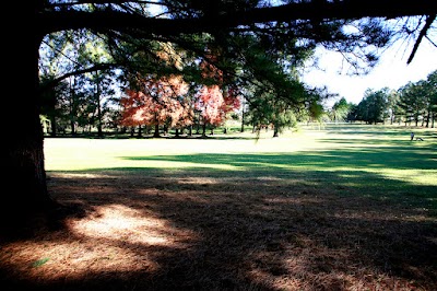 Place Photo