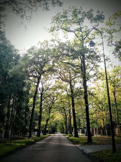 Place Photo