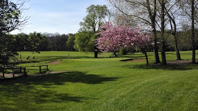 Place Photo
