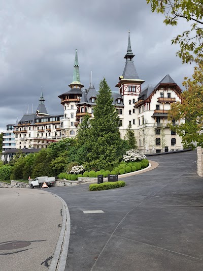 Place Photo