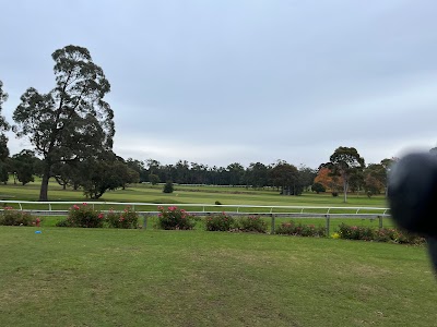 Place Photo