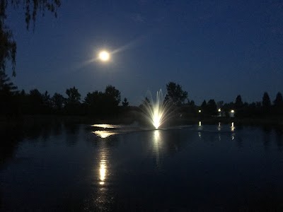 Place Photo