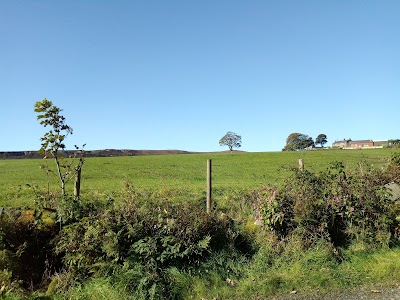 Place Photo