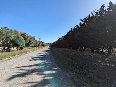 Place Photo