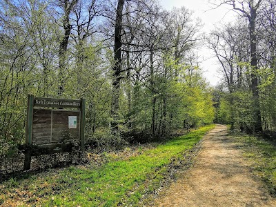 Place Photo
