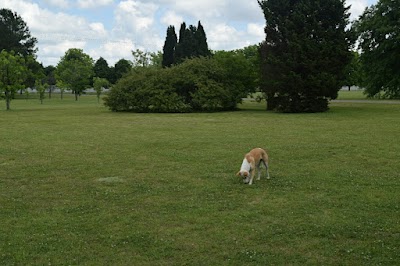 Place Photo