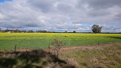 Place Photo