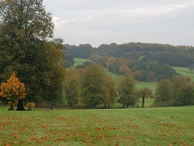Place Photo