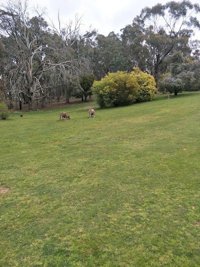 Place Photo