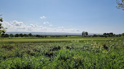 Place Photo