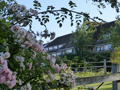 Place Photo