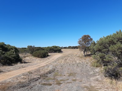 Place Photo