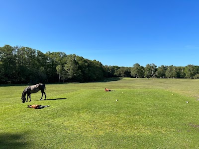 Place Photo