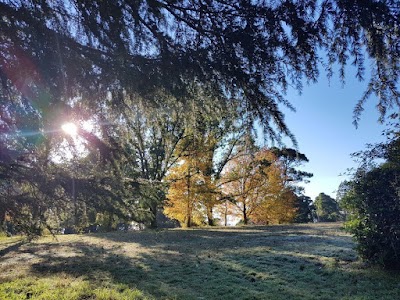 Place Photo