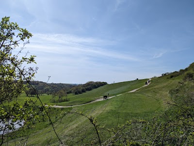 Place Photo