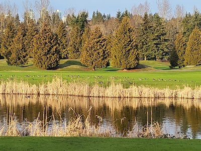 Place Photo