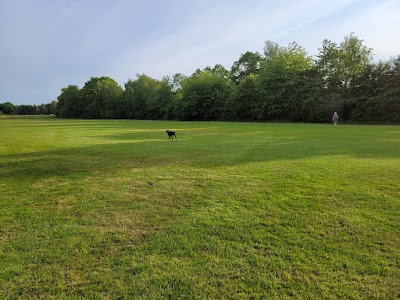 Place Photo