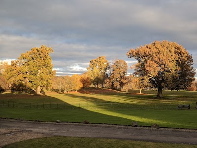 Place Photo