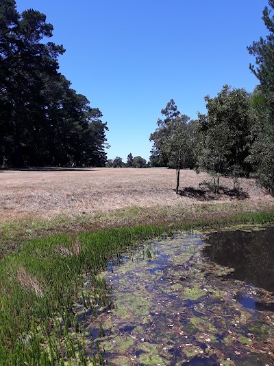 Place Photo
