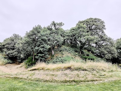 Place Photo