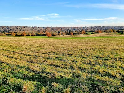 Place Photo