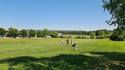 Place Photo