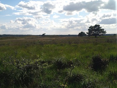 Place Photo
