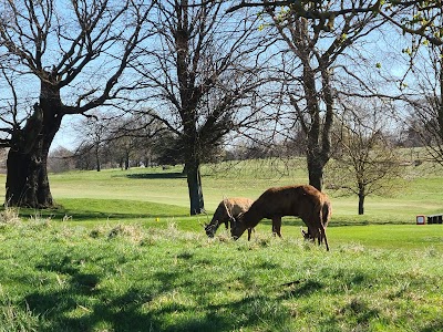 Place Photo
